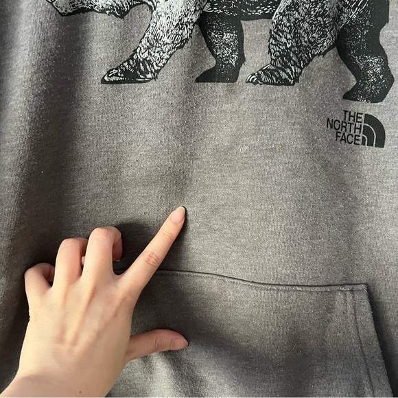 The North Face Men's Bear Mountainscape Pullover Hoodie Sweatshirt Large - Picture 6 of 13